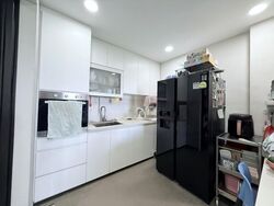 Dover Parkview (D5), Condominium #485484851